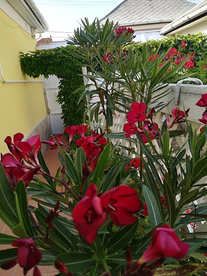 Castello Vendég és Apartmanház Eger Kültér fotó